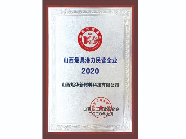 2020最具潛力民營(yíng)企業(yè)